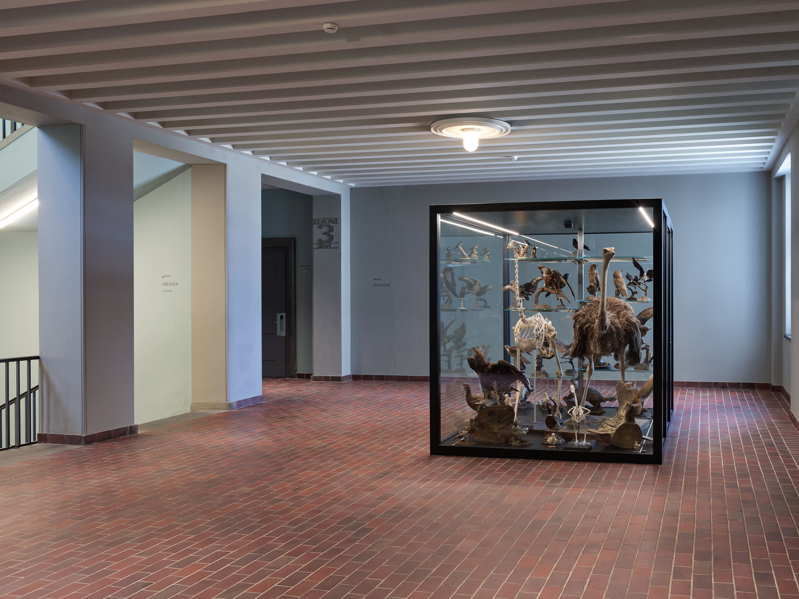 Kantonsschule im Lee